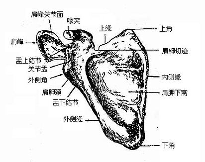 ιǣǰ棩